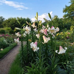 ������ �������: ��� �� �������� ������ ��-�� ��������