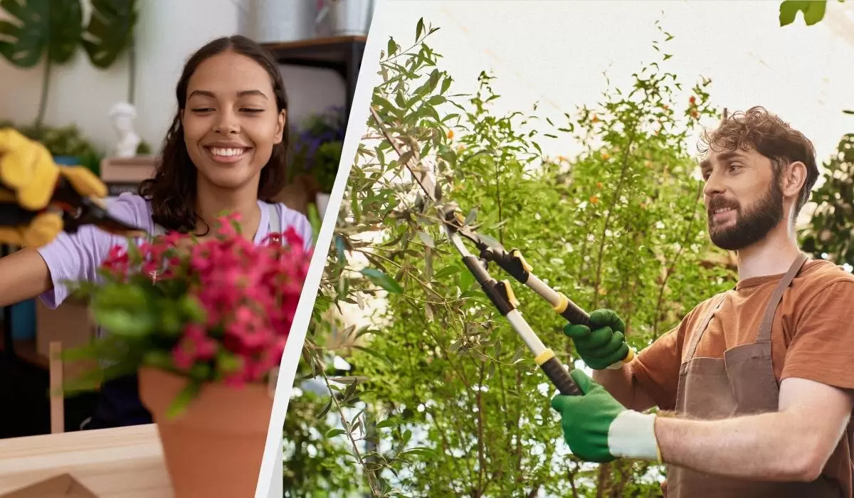 Почему не все растения выдержат зимнюю обрезку