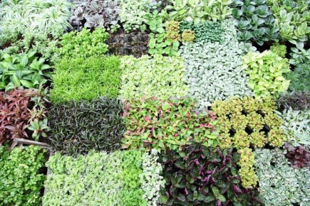 ��� ������� �������� ������ � ������� �� ���������� ����� ������