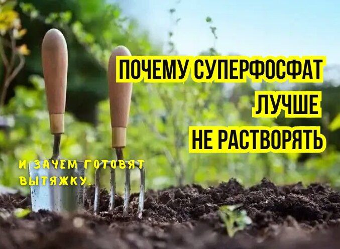 �����������: ����� �� ��������� ��� ��� �������?