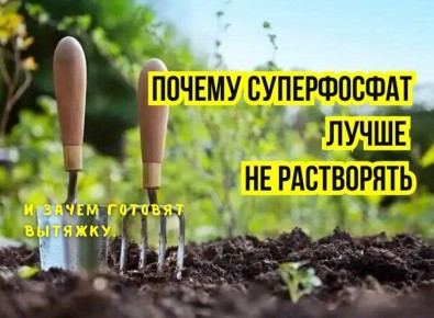 Суперфосфат: стоит ли разводить его для огорода?