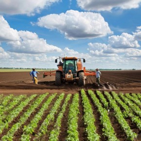 Обработка теплицы купоросом: секреты успешного обеззараживания почвы