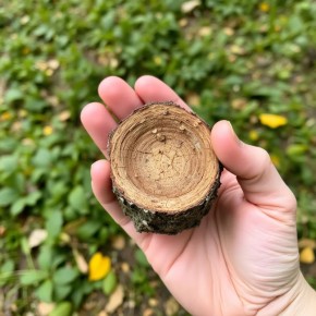 ������������ ������ ��� ������ �������: ��� ���� �������� ����������� ���