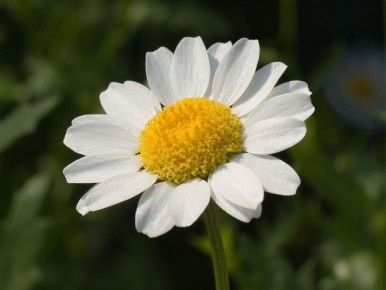 ����� �� ������������ ����: ��� ������� �������� ������� ��� �����