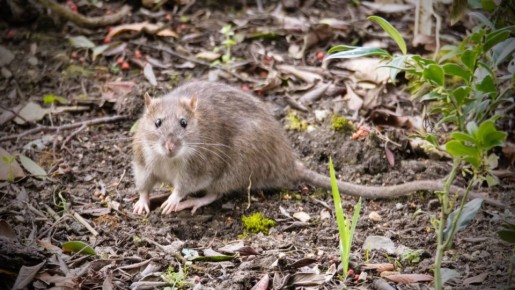 �� ����� ����� ������: ����������� ���� �� �������������� ���������