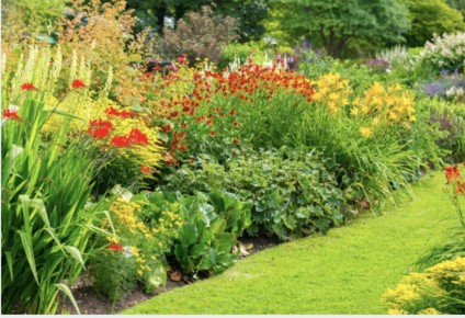 �������� �� �����: ��� ������� ����� ��� �� ������� ������