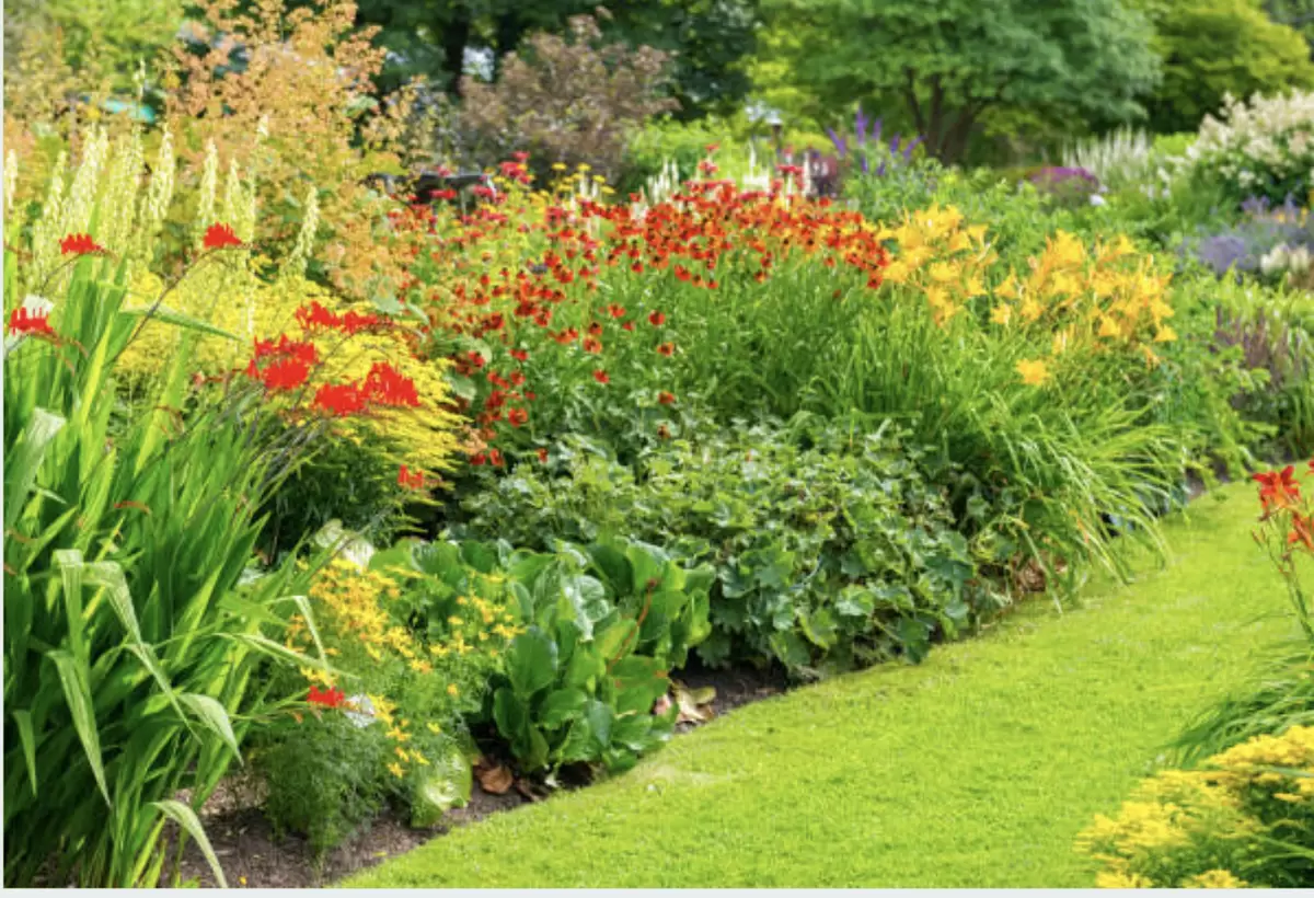 Гербарий из глины: как создать яркий сад на тяжелых почвах