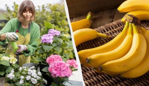 ��� ��������� ������ ����� ������ �������� ����� ���������