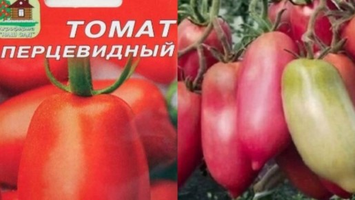 ��� ��������� ��������� ����������� ������: ������� ������