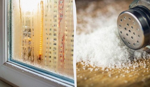 Миф о мисках с солью: действительно ли они спасают от конденсата?