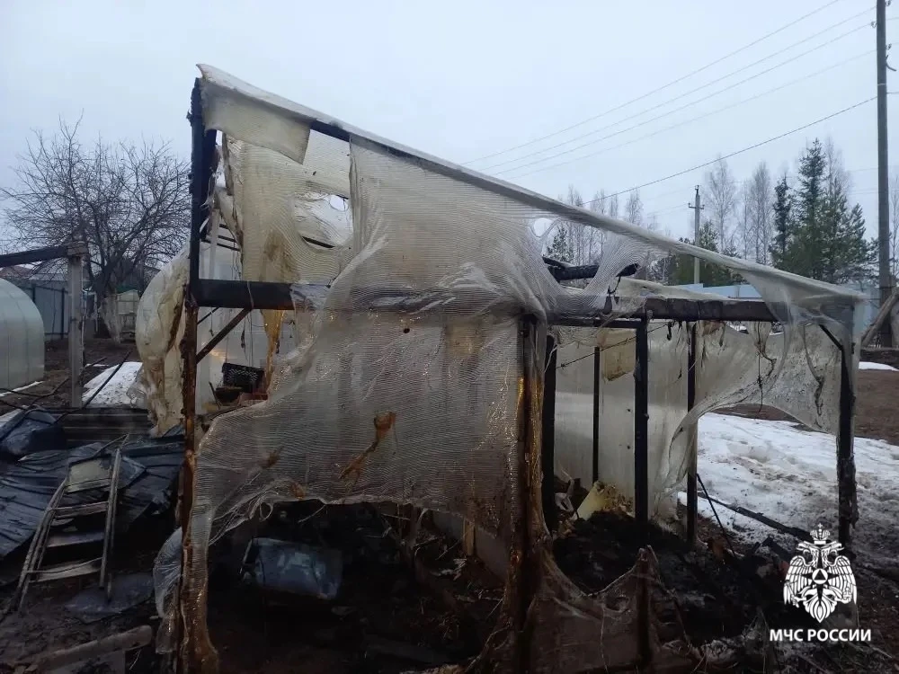 Женщина узнала о пожаре, когда проснулась от укусов кота в Удмуртии, сообщили в МЧС по республике Женщина узнала о пожаре, когда проснулась от укусов кота в Удмуртии, сообщили в МЧС по республике