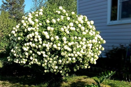 �������� � �������� ������ ���������? ��� ������ ������