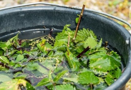 �������� ������: ���������� ������, ������� ����� ��������� ������