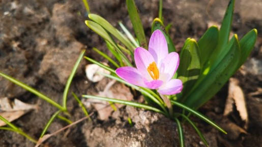 � �������� � �������� ���������� �������� ������ � �����, � ������ ������� � � ������ ������