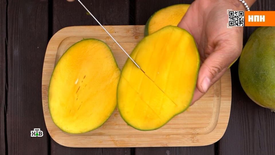 �����: ��� ������� ������ ���� � ����� ���������� �������� �� ����������