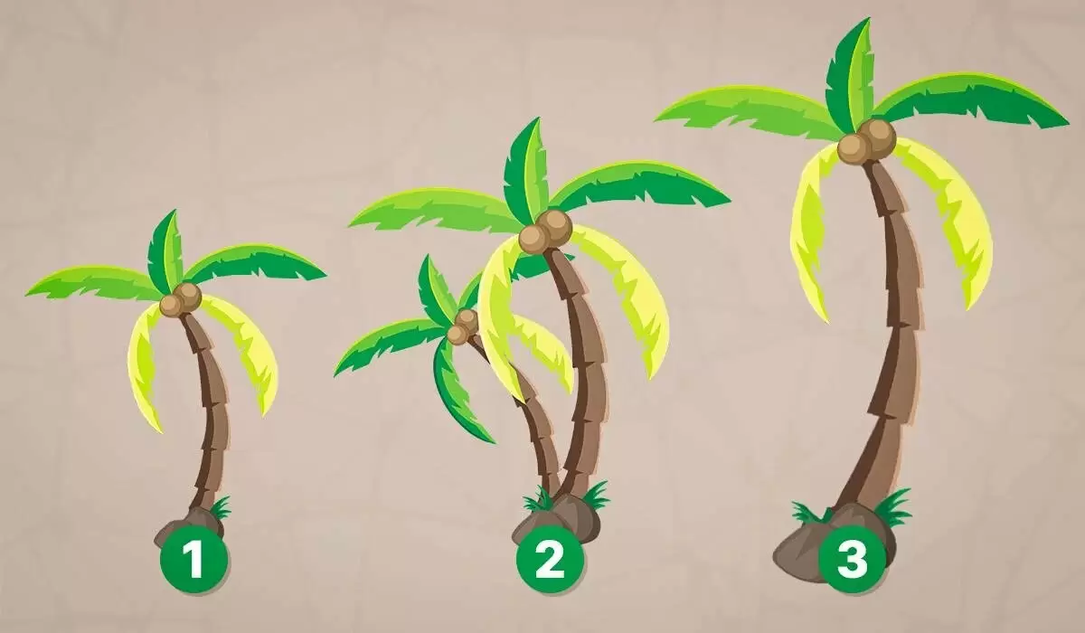 Тест на спокойствие: узнайте свои внутренние ресурсы