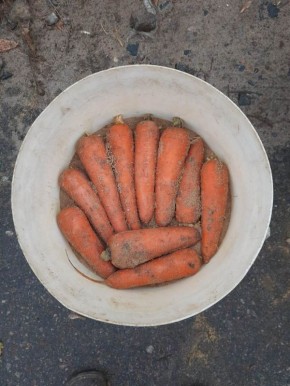 ��� ��������� ������� ������ �� ���������� ������: ������� ��������� ��������