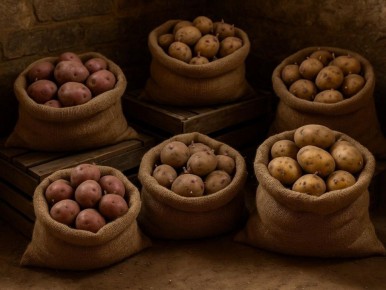 ������ ���� ��������� ����� �������� ������ �����������