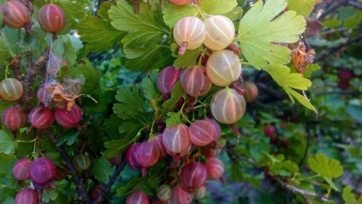 ������������ ����������: ��� ������� �������� �������� ������� �������� ������ ����������