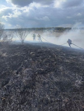 ����������� ����� ���� �� ������� �� ��� � ��������