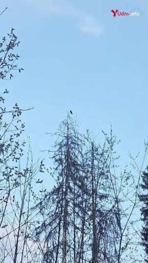 ����������-����� ��� ������ ������������: ����������� �� ����� � ���������� ������������ ����� ���������� �������� �������� � �������� ����� ������