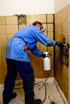 ���, ��� ����� ����� � ������ � �������: ������ � ������������