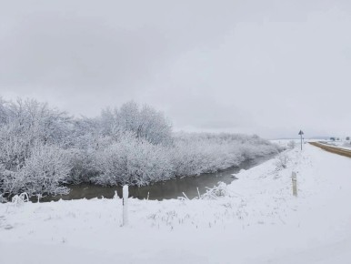 ������ �������� ������ ����� ��������