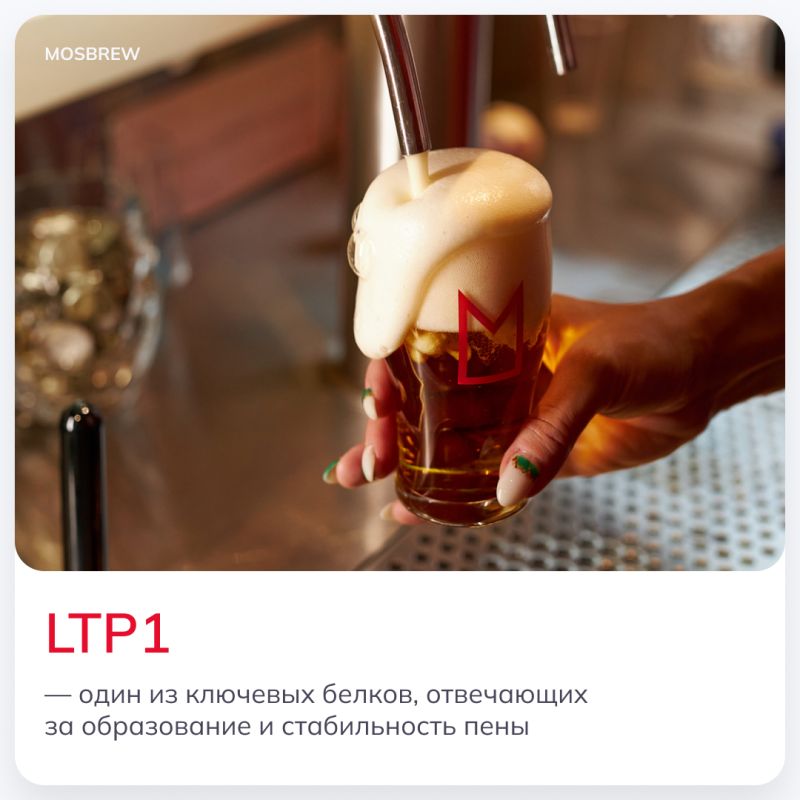 ��� ����� LTP1 ������ �� ��������� ���� ����