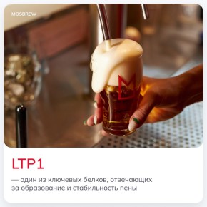 ��� ����� LTP1 ������ �� ��������� ���� ����