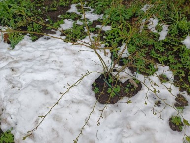 ��������� �� �����: ����� ����� ���������� �� ���������