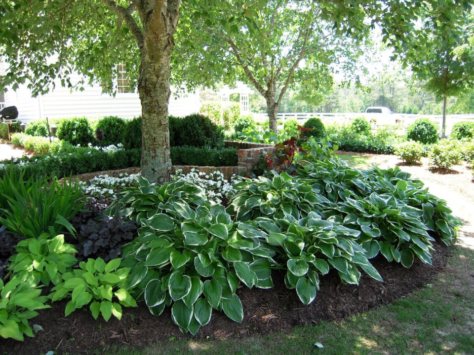 �������� ��� �������� ������� ������ ����