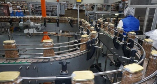 ���� �� �������� ������: ����� ��������� �� ���������������� ��������