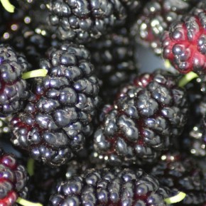 ���������: ������� ������ �������� � �������, � ������� ����� ������