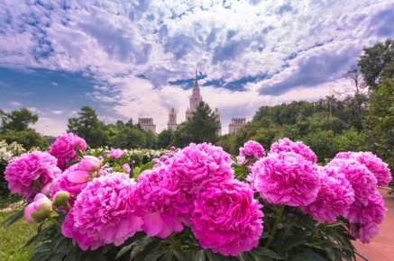 ������ � �����: ��� ���������� ���� �� ������� � ������������� � ������ ��������