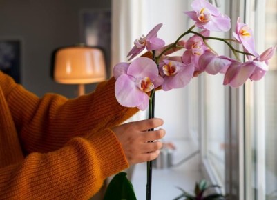 ����� ��� ������ ������ � ����� �� ���������: ������������ �����