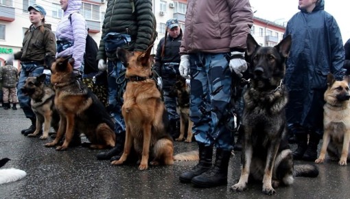 � 2026 ���� � ������ ������ (0+) � ������� �� ����� ����������� ������ ��������� � ��������