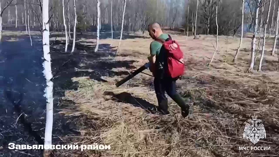 Житель Удмуртии чуть не сжёг деревню, пытаясь опалить курицу