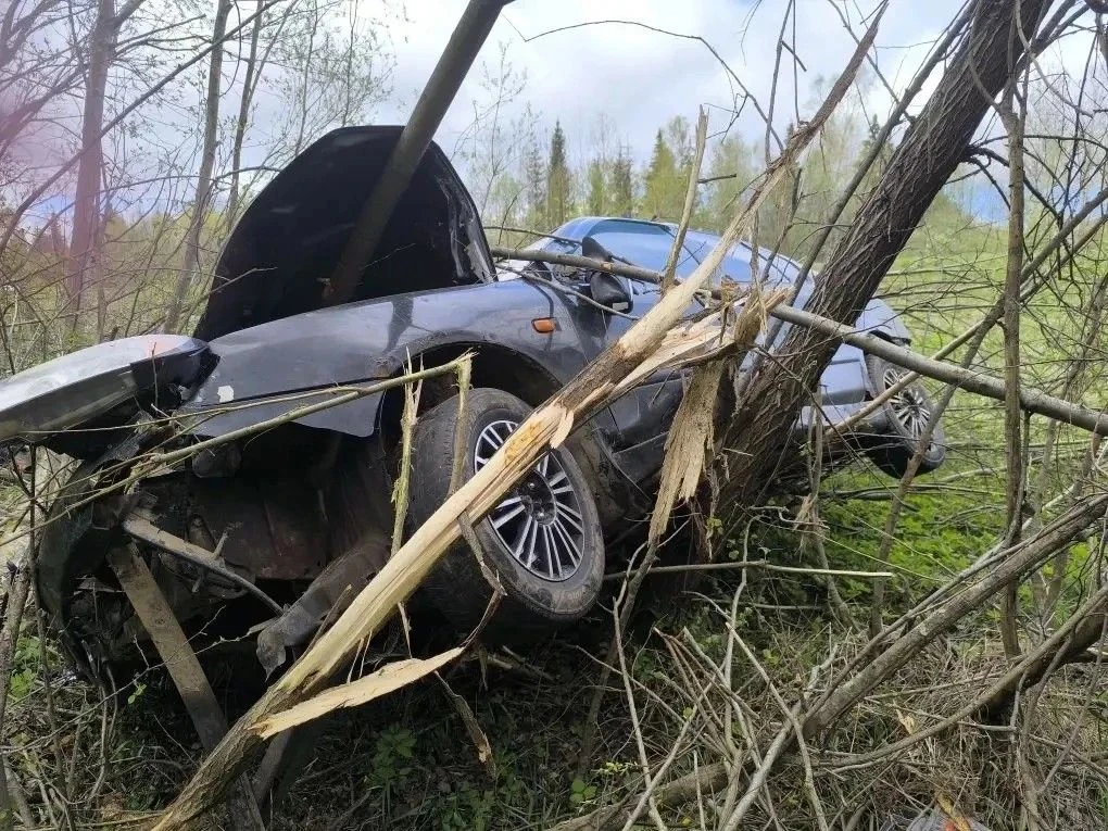 В Завьялово возбуждено уголовное дело по факту ДТП, в результате которого погибла несовершеннолетняя В Завьялово возбуждено уголовное дело по факту ДТП, в результате которого погибла несовершеннолетняя