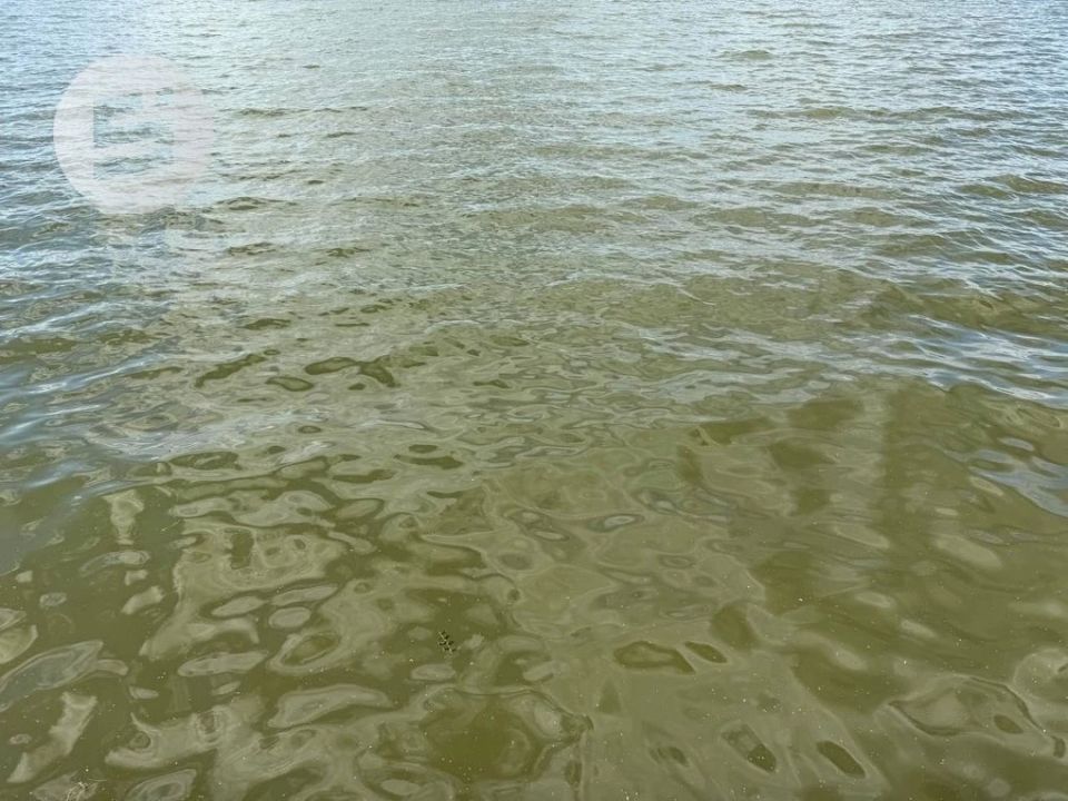 Вода и пляж Ижевского пруда не соответствуют гигиеническим нормам, сообщает пресс-служба Управления Роспотребнадзора по Удмуртии