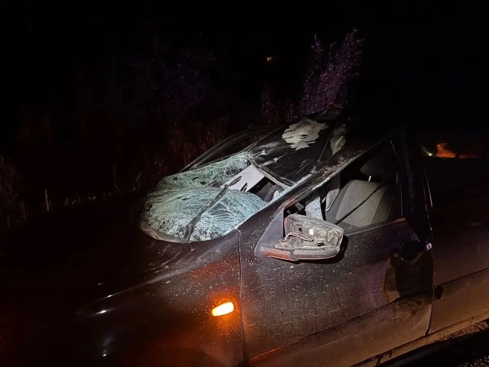 На дороге «Ижевск-Ува» в Увинском районе вечером 5 июня произошло ДТП с лосем На дороге «Ижевск-Ува» в Увинском районе вечером 5 июня произошло ДТП с лосем
