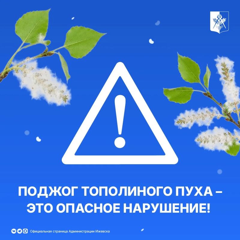 Тополиный пух устилает улицы города - красиво, но опасно