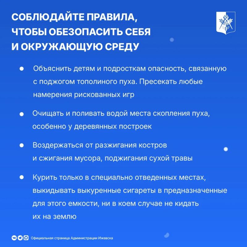 Тополиный пух устилает улицы города - красиво, но опасно Тополиный пух устилает улицы города - красиво, но опасно
