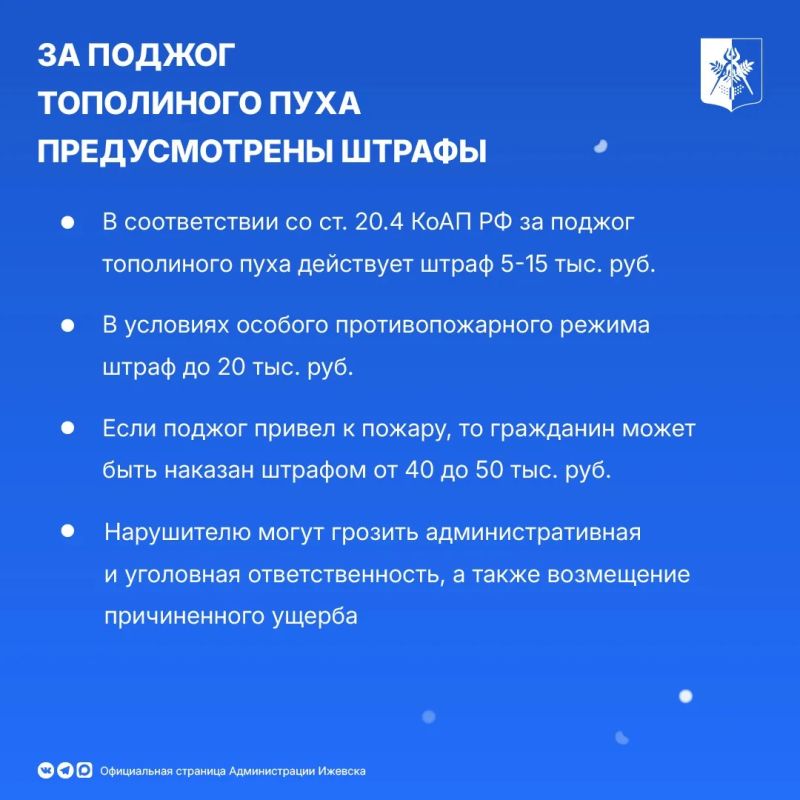 Тополиный пух устилает улицы города - красиво, но опасно Тополиный пух устилает улицы города - красиво, но опасно