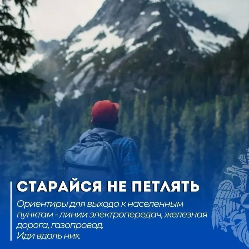 Потерялся в лесу? Запомни эти 5 правил Потерялся в лесу? Запомни эти 5 правил