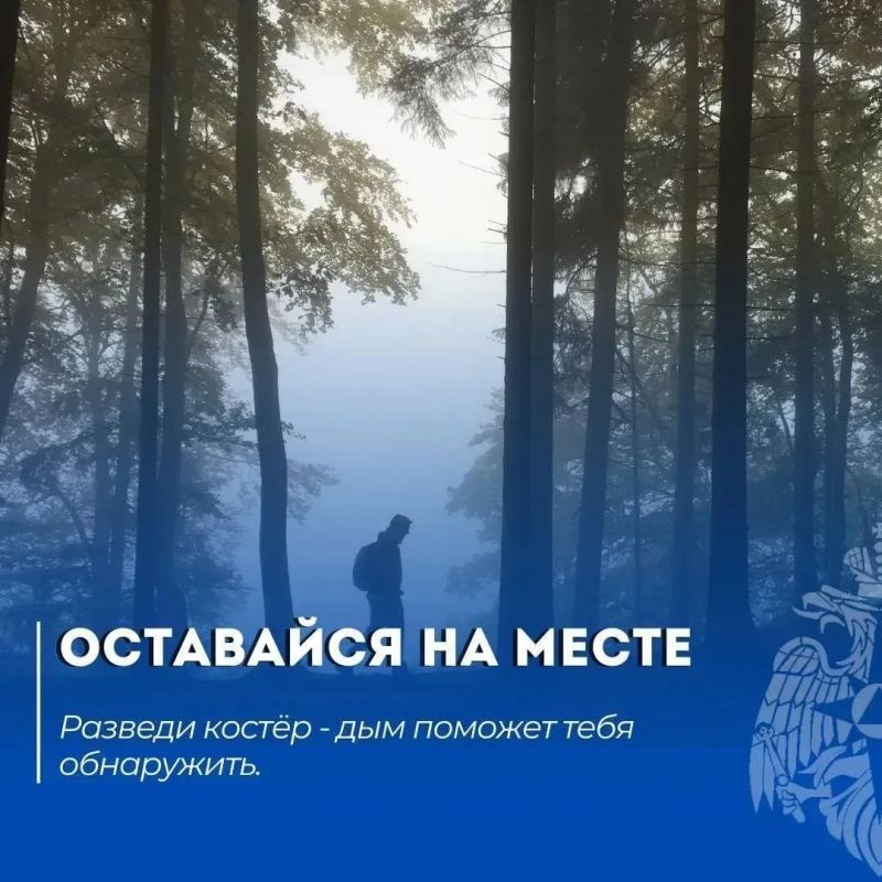 Потерялся в лесу? Запомни эти 5 правил Потерялся в лесу? Запомни эти 5 правил
