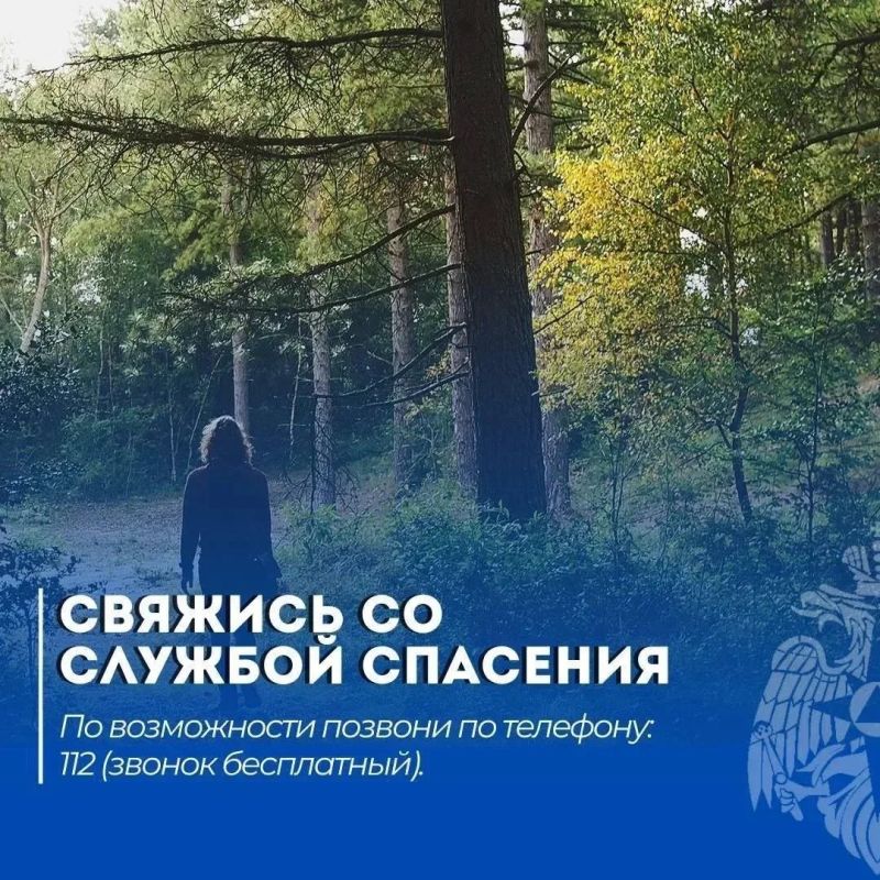 Потерялся в лесу? Запомни эти 5 правил Потерялся в лесу? Запомни эти 5 правил