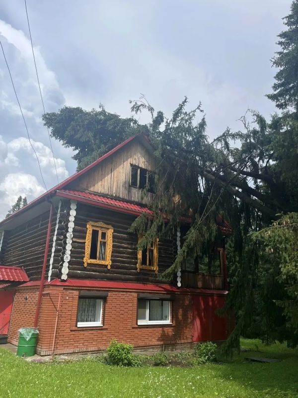 Сильный ветер повалил деревья в селе Красногорском в Удмуртии Сильный ветер повалил деревья в селе Красногорском в Удмуртии
