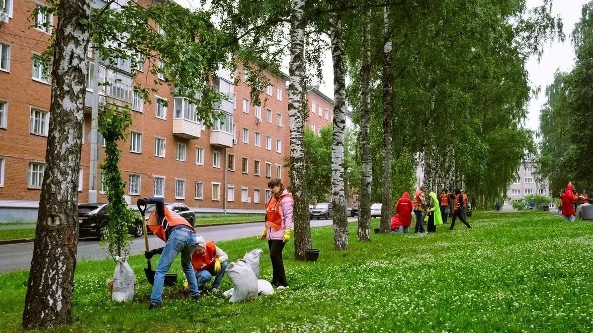 Работы по озеленению Ижевска продолжаются Работы по озеленению Ижевска продолжаются
