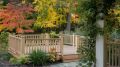 Ошибки дачников: причины гибели сада к осени и как этого избежать