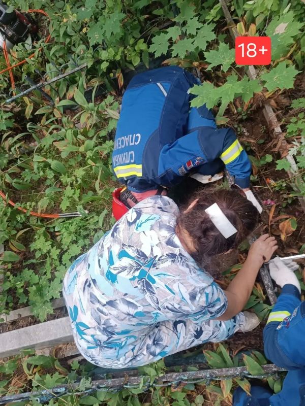 Жительница Удмуртии насквозь проткнула руку пикой могильной ограды на кладбище Жительница Удмуртии насквозь проткнула руку пикой могильной ограды на кладбище